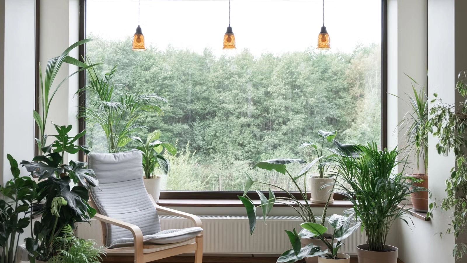 Bright eco-friendly home interior with large window and green plants, reflecting a natural and sustainable lifestyle.
